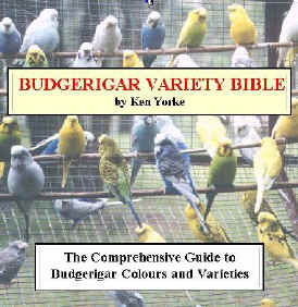 406ab88e.jpg (46048 bytes)