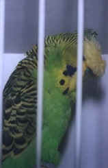 photo01.jpg (17803 bytes)