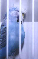 photo02.jpg (16248 bytes)