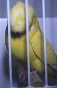 photo03.jpg (16085 bytes)