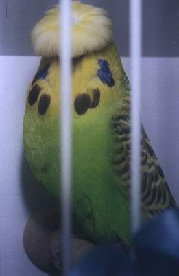 photo04.jpg (14939 bytes)