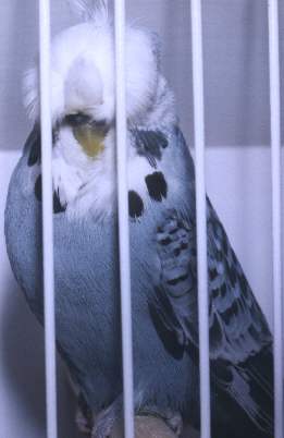 photo05.jpg (12859 bytes)