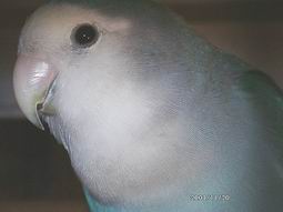 Resize%20of%2011200086.jpg (5391 bytes)